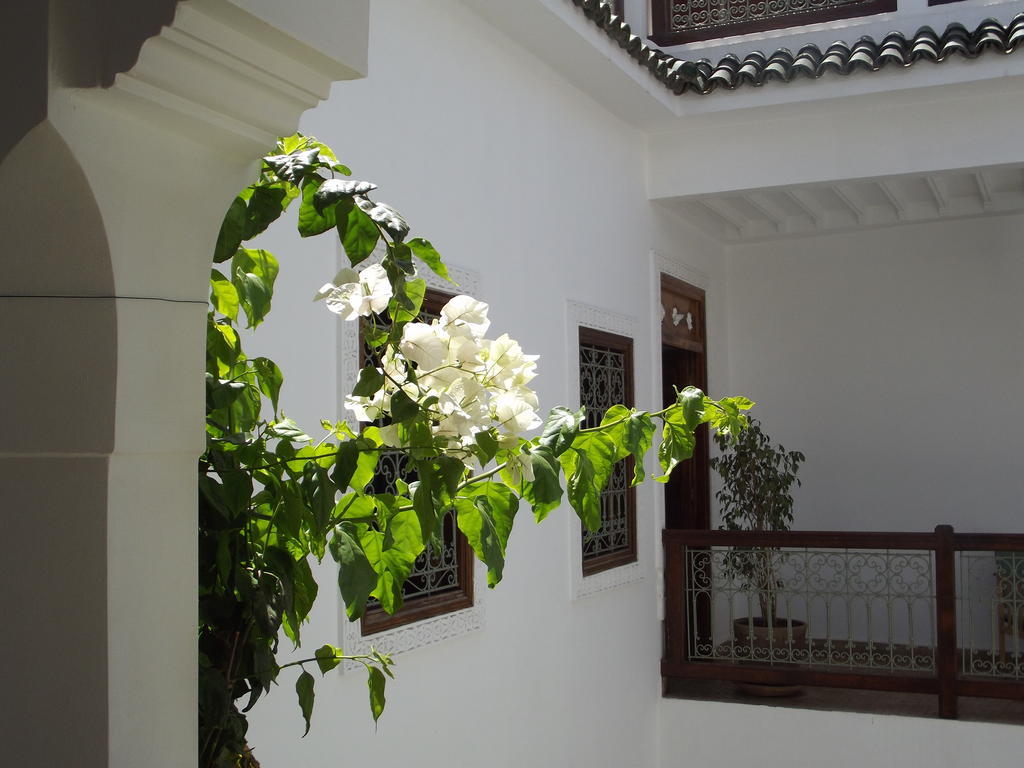 Riad Les Bougainvilliers Marrakesh Esterno foto